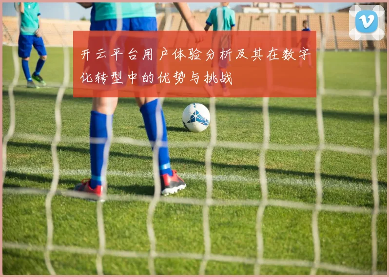 开云平台用户体验分析及其在数字化转型中的优势与挑战
